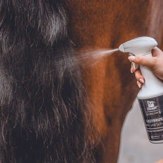 Sortiment Pferdepflege